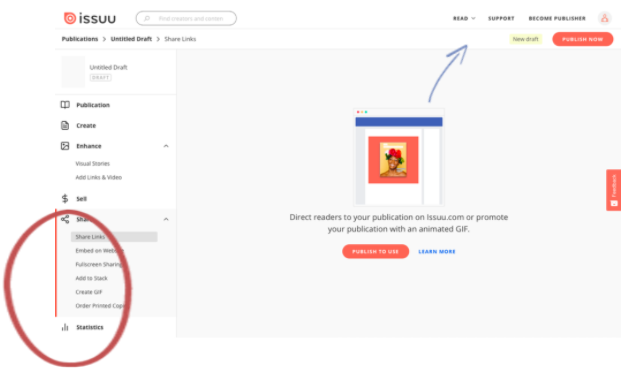 issuu5